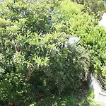 公寓 With Wifi - 11285 斯普利特